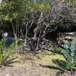 PHOTO-2023-06-30-11-54-12