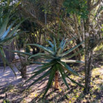 PHOTO-2023-07-01-08-54-06