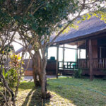 PHOTO-2023-07-01-08-54-22