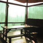 PHOTO-2023-07-01-08-56-33