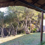 PHOTO-2023-07-01-09-08-31