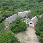 WhatsApp Image 2025-02-05 at 11.17.10